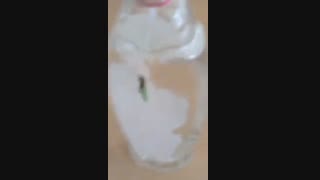 آموزش کامل شستن مرغ عشق