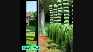 خوش شانسی یا بد شانسی