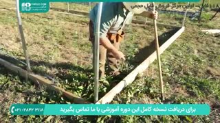 5 نکته مهم در ایجاد گلخانه خانگی در فصل سرما