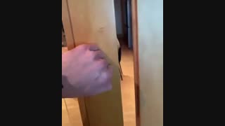 دنبال شه^^