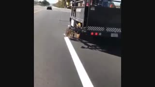 اجرای جالب رنگ ترافیکی