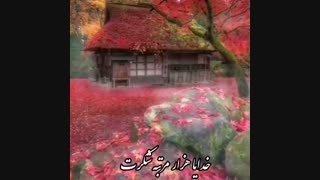 کلیپ آرامش بخش امین بانی