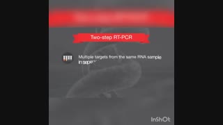 شرکت آراز شیمی گستر فروشنده کیت RT-PCR