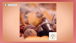 میوه های خشک با بهترین طعم و کیفیت