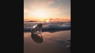 اسم کسی که دوسش داری رو بنویس:)♡