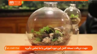 آموزش ساخت تراریوم در داخل گوی شیشه ای