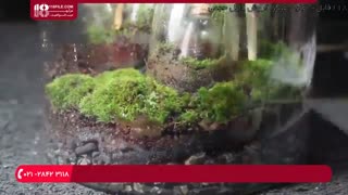 آموزش ساخت تراریوم های کوچک برای داخل تراریوم بزرگ