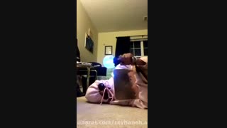 مود من وقتی بی تی اس کنسرت انلاین میزاره:,)