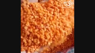 قیمت دال عدس کانادایی