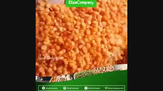 فروش دال عدس کانادایی و ترک