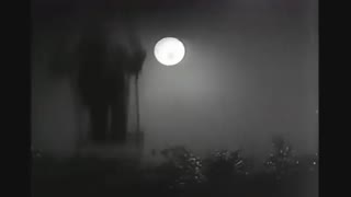 One Wonderful Sunday 1947 trailer