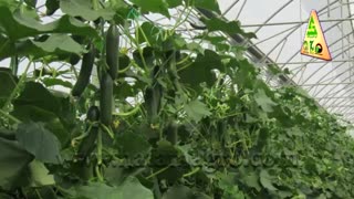 معرفی گروه حاتم