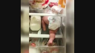 دوباره باید برای یخچال ها قفل گذاشت ههه !!