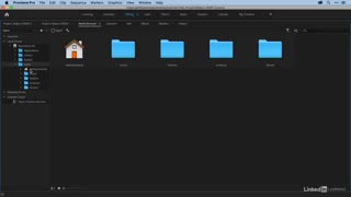 آموزش پریمیر پرو Importing media via the Media Browser