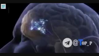 مهم *مغز و بدنمون داره میپزه...تا آخر ببینید