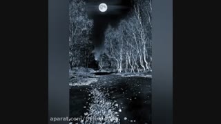 دکلمه زیبا پر طرفدار  شعر کوچه (مریم اسفندیاری)