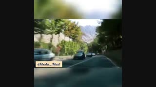 کیمیا گر هستی