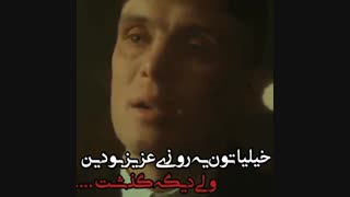 تامی شلبی