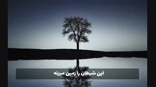 استاد غفاری ، داستان درخت و عابد