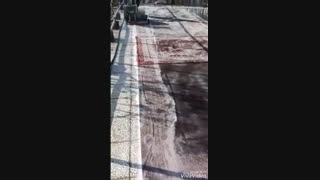 قالیشویی در خانی آباد