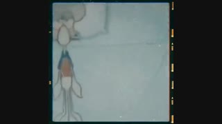 spong bob _باب اسفنجی 