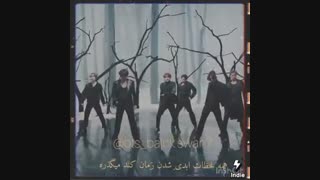 One year with Black Swan