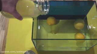 خلاقیت جالب یکی از دوستداران انیمه