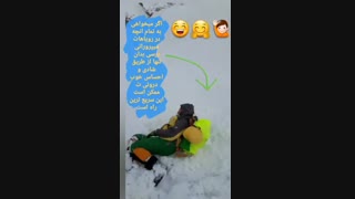 در لحظه زندگی کن
