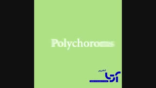 مداد رنگی فابرکاستل پلی کروم ۲۴ رنگ