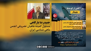 آشنایی با کوسه های خلیج فارس