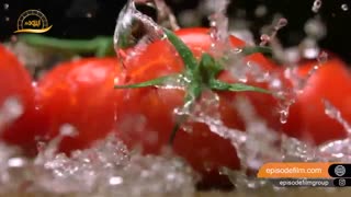 محصولات غذایی 20و20