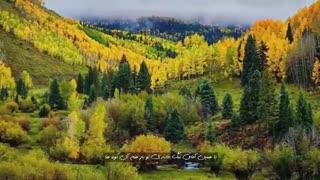دکلمه شعر صبوحی | مهدی اخوان ثالث | استاد محمدعلی حسینیان | آموزش فن بیان