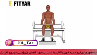 حرکت ساق پا هالتر نشسته