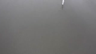 موزیک ویدیوی بسیار زیبا و غمگین از IZ band به اسم Memento با ترجمه آهنگ