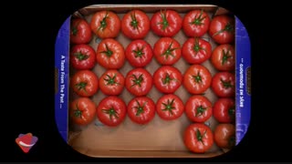 بسته بندی صادراتی گوجه فرنگی بیف استیک آتاویتا