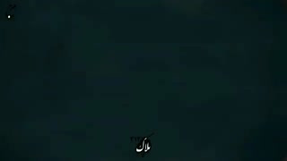 زخم بازشیعه