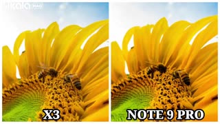 مقایسه Poco X3 با Redmi Note 9 Pro دو انتخاب عالی برای گیمرهای حرفه‌ای