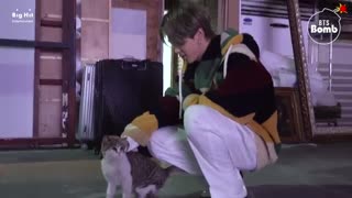 [BANGTAN BOMB] You Have a Meow-sitor! - BTS (방탄소년단)