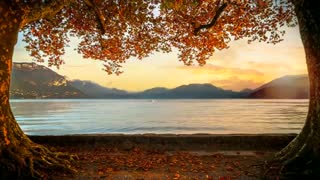 آهنگ ترکی  زیبا