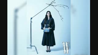 جیسو به اولین سلبریتی جهان تبدیل شد که کیف برند DIOR CARO را تبلیغ کرد و در کاور مجله W Korea استفاده کرد