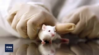 از طرح تازه مقابله با ابرباکتری‌ها تا پیش‌بینی ‌بی‌خطر شدن کرونا