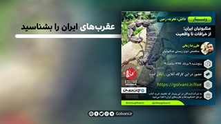 عقرب‌ های ایران را بشناسید