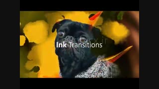 دانلود ترانزیش های آماده افتر افکت - Seamless Transitions v2 - گرافیکس