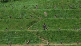 سکانس برتر - فیلم رویاهای آکیرا کوروساوا 1990 - شکوفه های گیلاس