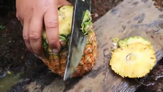 مزرعه آناناس