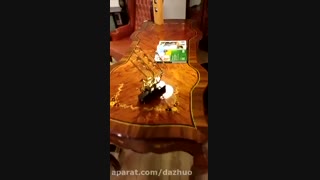 مبلمان اداری کلاسیک