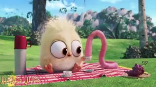 انیمیشن کوتاه طنز