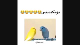 یونگییییییی. ایییییح.   (*≧∀≦*)