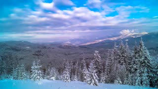 منظره جنگل پر برف  ثانیه ای کوتاه زیبایی و آرامش