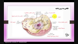 اموزش فصل 11 علوم هفتم